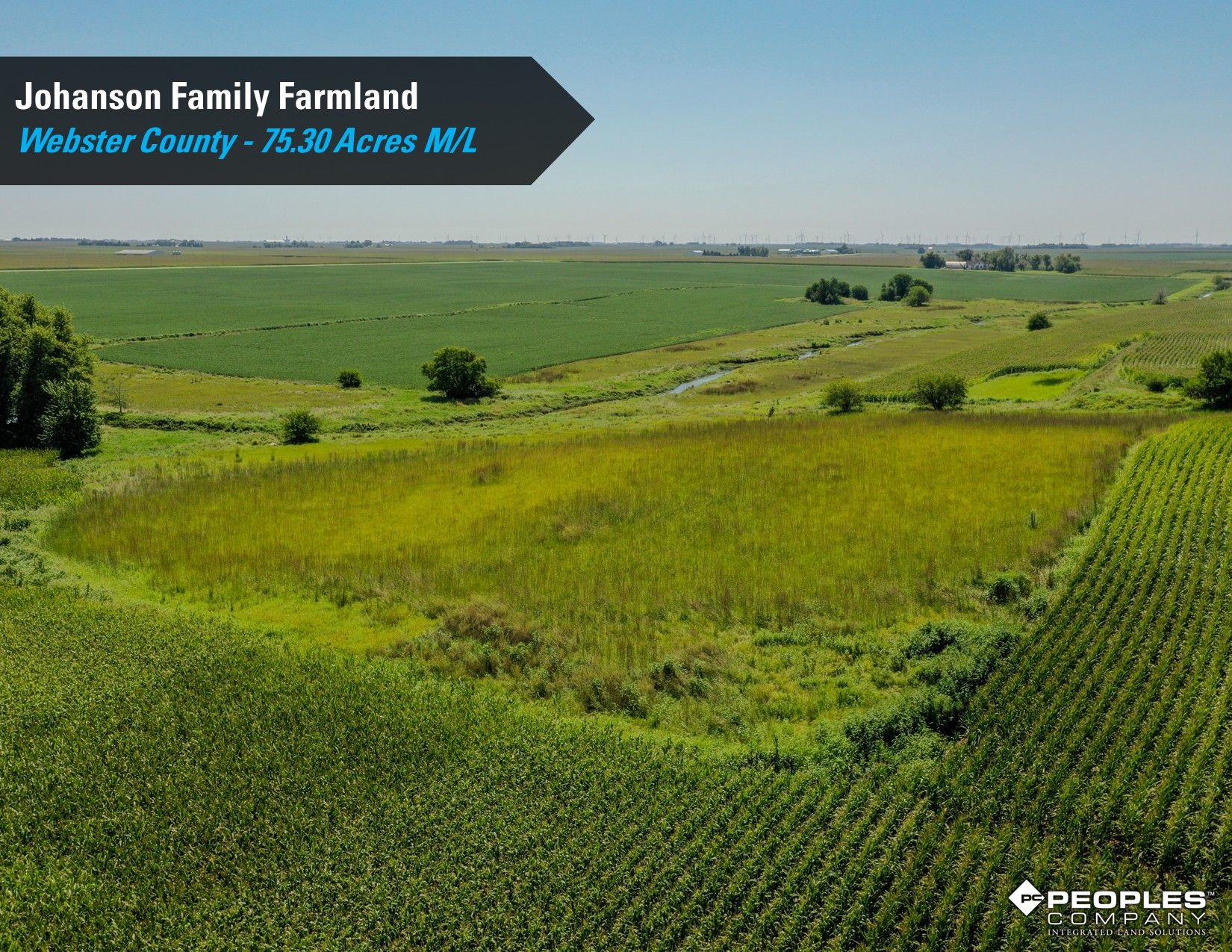 Listing Photo: Webster County Iowa Farmland Available 4